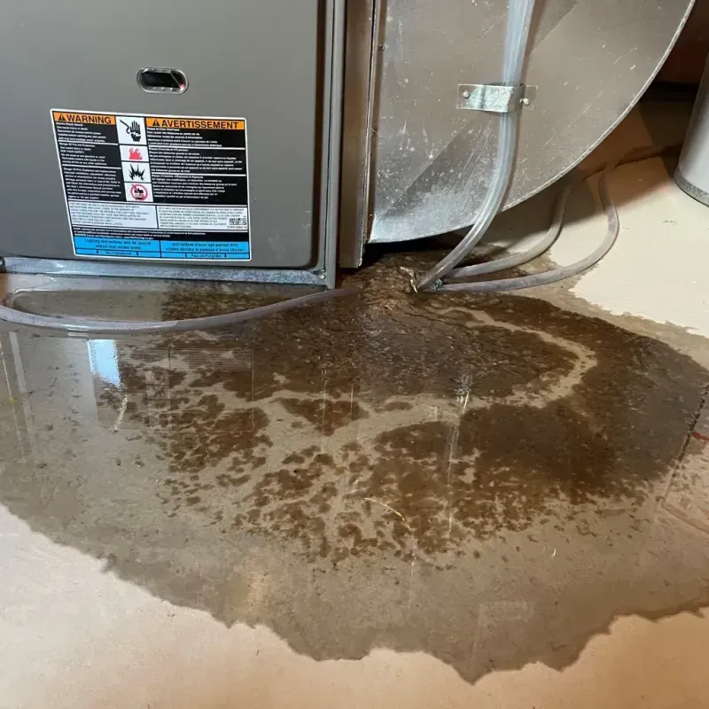 Appliance Leak Cleanup in Gustine, CA